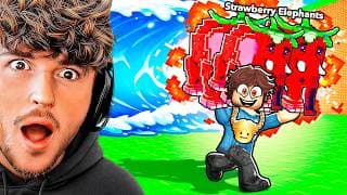 Escape Tsunami For Brainrots OWNER Gave Me This..